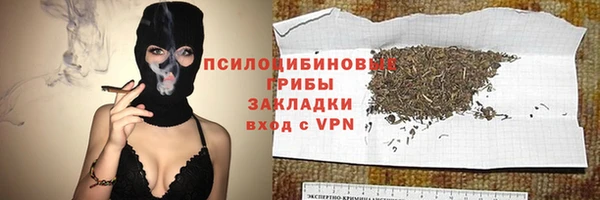 гидра Покров