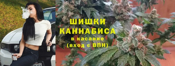 гидра Покров