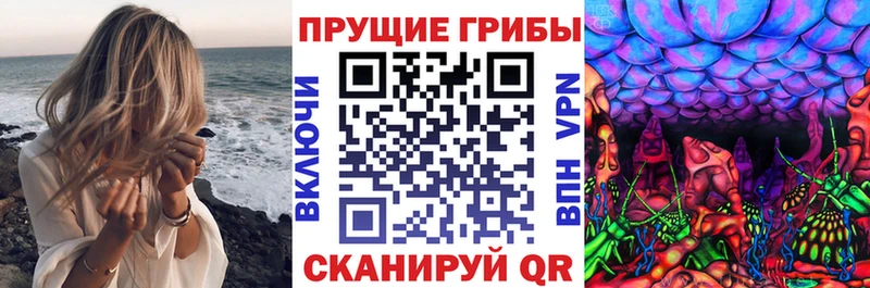купить закладку  Спас-Деменск  Псилоцибиновые грибы Cubensis 